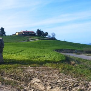 Poggioallapietra26-agriturismo-colline-toscane-cinigiano_-8